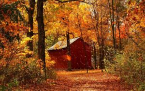 prepara tu casa para el otoño