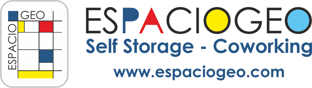Logotipo_espaciogeo