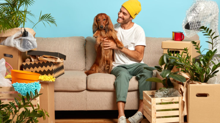 Crea un espacio para tu mascota en casa