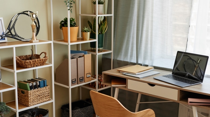 Zona luminosa de trabajo con estanterías, plantas y escritorio ordenado, ejemplo de organización del teletrabajo desde casa en espacios compartidos.